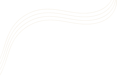 Unicorn Soft Labs Counter Shape01