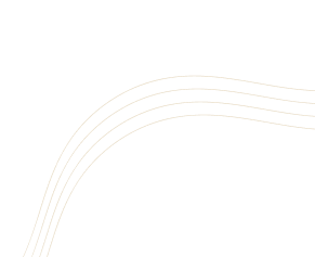 Unicorn Soft Labs Counter Shape03